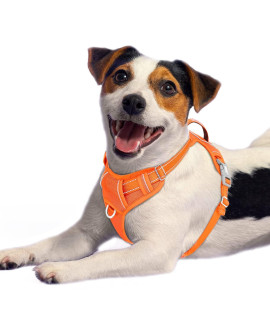 BARKBAY No Pull Dog Harness Front Clip Heavy Duty Reflective Easy Control Handle for Large Dog Walking with ID tag Pocket(Orange,M)