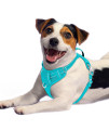 BARKBAY No Pull Dog Harness Front Clip Heavy Duty Reflective Easy Control Handle for Large Dog Walking with ID tag Pocket(Ocean Blue,M)