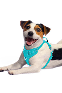 BARKBAY No Pull Dog Harness Front Clip Heavy Duty Reflective Easy Control Handle for Large Dog Walking with ID tag Pocket(Ocean Blue,M)