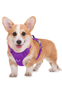 BARKBAY No Pull Dog Harness Large Step in Reflective Dog Harness with Front Clip and Easy Control Handle for Walking Training Running with ID tag Pocket(Purple,M)