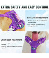 BARKBAY No Pull Dog Harness Large Step in Reflective Dog Harness with Front Clip and Easy Control Handle for Walking Training Running with ID tag Pocket(Purple,M)