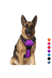 BARKBAY No Pull Dog Harness Large Step in Reflective Dog Harness with Front Clip and Easy Control Handle for Walking Training Running(Purple,XL)