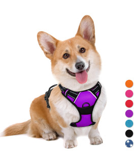 BARKBAY No Pull Dog Harness Large Step in Reflective Dog Harness with Front Clip and Easy Control Handle for Walking Training Running(Purple,M)