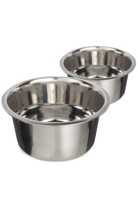 Neater Pet Brands Stainless Steel Dog and Cat Bowls (2 Pack) Neater Feeder Medium Deluxe Extra Replacement Bowl (Metal Food and Water Dish) (5 Cup)