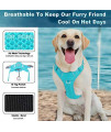 BARKBAY No Pull Dog Harness Large Step in Reflective Dog Harness with Front Clip and Easy Control Handle for Walking Training Running with ID tag Pocket(Blue,XL)