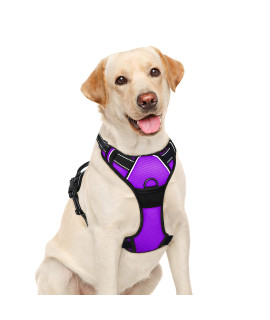 BARKBAY No Pull Dog Harness Large Step in Reflective Dog Harness with Front Clip and Easy Control Handle for Walking Training Running(Purple,L)