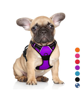 BARKBAY No Pull Dog Harness Large Step in Reflective Dog Harness with Front Clip and Easy Control Handle for Walking Training Running(Purple,S)