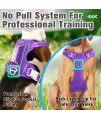BARKBAY No Pull Dog Harness Front Clip Heavy Duty Reflective Easy Control Handle for Large Dog Walking with ID tag Pocket(Purple,S)