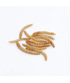 WAMSOFT 100% Non-GMO Dried Mealworms?High-Protein Mealworm Treats ?Perfect for Wild Bird Chicken Fish?5lb