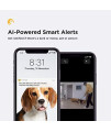 Petcube Smart Pet Camera 1-Year Subscription Plan: Video History, Smart Alerts, & Pet Care Perks