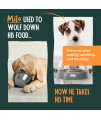 Sumergle rasosine Slow Down Feed Dog Cat Feeding Bowl - Pet Bloat Stop Dog Bowl