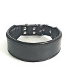Bestia "Classic Padded Leather Dog Collar. Hand Made in Europe. Up to 2 inch Width, 100% Leather, 7 Sizes