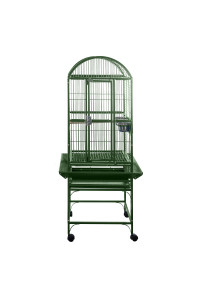 A&E cage co. Small Dome Top Bird cage 18x18x51 green