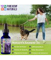 Pure Hemp Naturals Hemp Oil for Dogs and Cats - Stress and Seperation Anxiety Relief - Supports Hip and Joint Health - Veterinarian Formulated - USA Grown and Made - Veteran Owned Company (2 Pack)