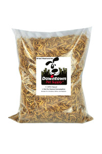 Downtown Pet Supply Dried Mealworms - Rich in Vitamin B12, B5, Protein, Fiber and Omega 3 Fatty Acids - Chicken, Duck and Bird Food - Reptile and Turtle Food - 5 lbs