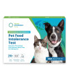 5Strands Pet Food Intolerance Test, at Home Sensitivity Test for Dogs & Cats, 270 Items, Hair Analysis, Accurate for All Ages and Breed, Results in 7 Days - Protein, Grain, Fruit, Preservatives