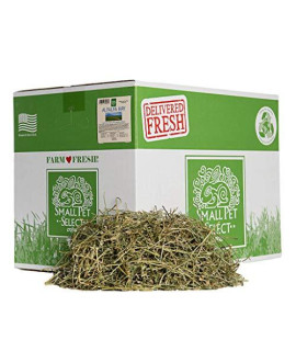 Small Pet Select Alfalfa Hay Pet Food, 20 LB
