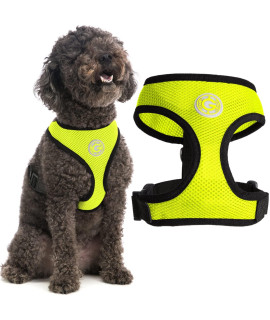 Gooby Soft Mesh Dog Harness - Lime, Large - All Weather Mesh Head-in Small Dog Harness with D Ring Leash - Perfect on The Go Breathable Dog Harness for Medium Dogs No Pull and Small Dogs