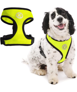 gooby Soft Mesh Dog Harness - Lime, Medium - All Weather Mesh Head-in Small Dog Harness with D Ring Leash - Perfect on The go Breathable Dog Harness for Medium Dogs No Pull and Small Dogs
