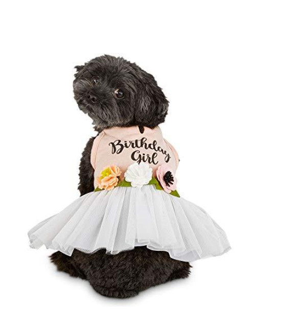 Petco Brand - Bond & Co. Birthday Girl Dog Dress, Large, Pink / White