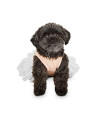 Petco Brand - Bond & Co. Birthday Girl Dog Dress, Large, Pink / White