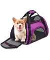 Anyifan Airline Approved Dog and Cat Carrier, Collapsible Soft-Sided Portable Travel Breathable Pet Bag Safety Zippers for Kitten Cat Puppy Dog Car Seat Safe (Small, Purple)