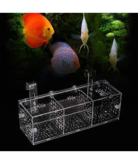 Fish Tank Breeding Isolation Box Breeder Isolation Divider Hatching Box Acrylic Transparent Aquarium Hatchery Incubator Holder(30CM*10CM*10CM)