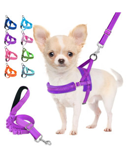Lukovee Walking Dog Harness and Leash, Heavy Duty Adjustable Puppy Harness Soft Padded Reflective Vest Harness Anti-Twist 4FT Pet Lead Quick Fit Lightweight for Small Dog Cat (X-Small, Purple)