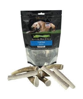 Deluxe Naturals Elk Antler chews for Dogs Naturally Shed USA collected Elk Antlers All Natural A-grade Premium Elk Antler Dog chews Product of USA, 1-LB Small cuts
