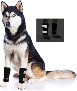 Pair of Front Leg Braces for Dog & Cat Canine Carpal Support with Safety Reflective Straps for Injury Prevention, Joint Pain and Loss of Stability from Arthritis (XXS/XS Pair)