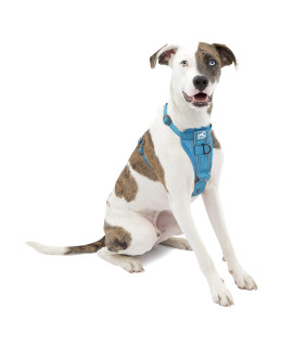 Kurgo Dog Harness | Pet Walking Harness | No Pull Harness Front Clip Feature for Training Included | Car Seat Belt | Tru-Fit Quick Release Style | Medium | Blue
