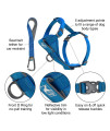 Kurgo Dog Harness | Pet Walking Harness | No Pull Harness Front Clip Feature for Training Included | Car Seat Belt | Tru-Fit Quick Release Style | Medium | Blue