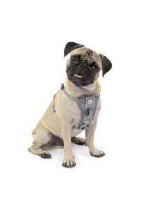 Kurgo Dog Harness Pet Walking Harness No Pull Harness Front clip Feature for Training Included car Seat Belt Tru-Fit Quick Release Style Small grey