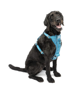 Kurgo Dog Harness | Pet Walking Harness | No Pull Harness Front Clip Feature for Training Included | Car Seat Belt | Tru-Fit Quick Release Style | Large | Blue