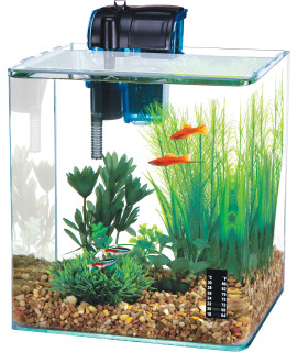 Penn-Plax Water-World Vertex Desktop Aquarium Kit - Perfect for Shrimp & Small Fish - 5 Gallon Tank