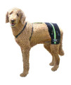 Walkin' Hip-EEZ Dog Hip Brace Support Harness System | Provides Joint Support for Dogs with Hip Dysplasia and Other Conditions Affecting The Hip Joint.