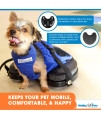 Scooter for Rear Legs | Indoor Dog Wheelchair Alternative for Paralyzed Pets | Protects Chest and Limbs | Durable Nylon | Breathable and Comfortable