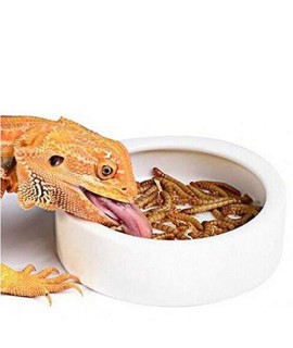 Reptile Water Food Bowl, Worm Dish Ceramic Pet Bowls Anti-Escape Mini Reptile Feeder Mealworms Bowl For Lizard Bearded Dragon Gecko Chameleon Hermit Crab Dubia Reptirock Retile Cricket Dish