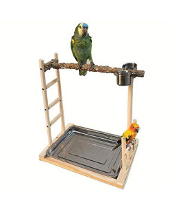 Wood Bird Stand Parrot Playgroundwood Bird Playstandwith 2 Feeder Cupsstainless Steel Tray Play Gym Exercise Toy For Cockatiels African Greys Parakeets