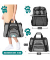 PetAmi Premium Airline Approved Soft-Sided Pet Travel Carrier | Ventilated, Comfortable Design with Safety Features | Ideal for Small to Medium Sized Cats, Dogs, and Pets (Small, Grey)
