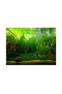 Zetiling Water Grass Aquarium Poster, Several Sizes PVC Self-Adhesive Design Fish Tank Background Decor Paper for Fish Tank and Aquarium Decoration(12246cm)