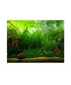 Zetiling Water Grass Aquarium Poster, Several Sizes PVC Self-Adhesive Design Fish Tank Background Decor Paper for Fish Tank and Aquarium Decoration(12246cm)