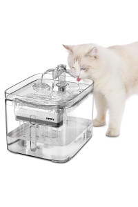 Npet Cat Water Fountain, 3L Automatic Pet Drinking Fountain Dog Water Dispenser With Quadruple-Action Filter (Wf020 Transparent)