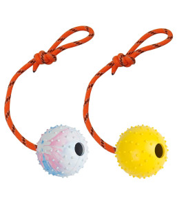 Nevperish 2 Pack Dog Ball, K9 Ball, Solid Rubber Ball on Rope for Reward, Fetch, Play (7cm)