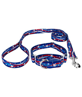 Country Brook Petz - Star Spangled Martingale Dog Collar and Leash - Americana Collection with 4 Patriotic Designs (1 Inch, Large)