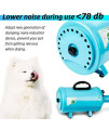 amzdeal Dog Dryers 3.8HP/2800W Stepless Adjustable Speed Dog Hair Dryer, Home Use/Professional Pet Grooming Blower, Pet Hair Force Dryer Blaster with Heater, Spring Hose, and 4 Nozzles (Blue)