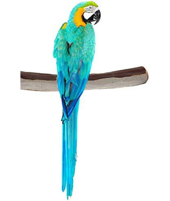 Sweet Feet and Beak Superoost Manzanita Pumice Pedicure Perch- Easy to Install Bird Cage Accessories for Healthy Feet, Nails and Beak - Natural Bird Perches Imitates Birds' Life in The Wild - XL 14"