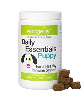 Waggedy Puppy Vitamin chews -60 chewy Multivitamins, Full Spectrum Functional Treats, Large or Small Breed Puppy Supplement: Joint, Digestion, Immune System, Eyes coat 46 oz USA, Time Released
