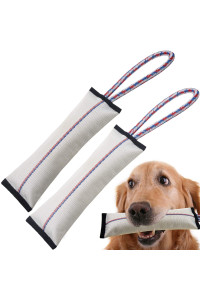 Tough Dog Toys for Aggressive Chewers,Dog Chew Toys,Dog Tug Toy,Firehose Dog Toys,Interactive Dog Toys for Large Dogs,Dog Squeaky Toys with Strong Cotton Rope Handle,Pet Toys for Small Dog Toys Pack 2