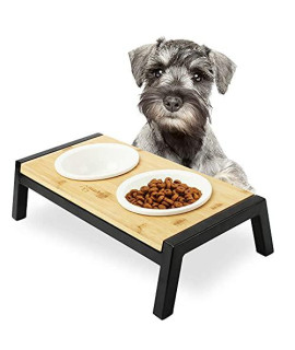 WANTRYAPET Elevated Dog Bowl Stand, Ceramic Dog Dishes Antirust Stainless Steel Raised Dog Food Bowls for Small Dogs